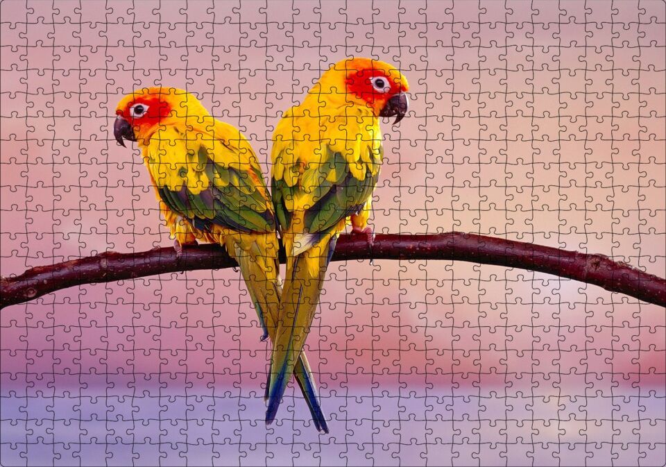 Daldaki Sarı Kırmızı Yeşil Sevda Kuşları Flu Deniz Arka Plan Puzzle Yapboz MDF Ahşap 500 Parça 49 cm X 68 cm