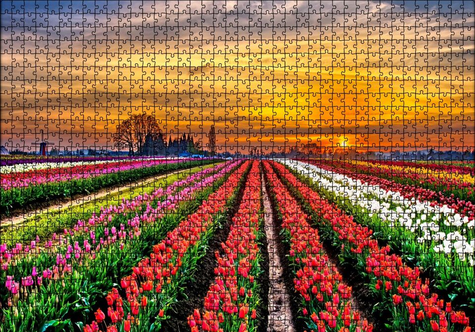 Hollanda'da Günbatımı ve Lale Tarlaları Puzzle Yapboz MDF Ahşap 1000 Parça 49 cm X 68 cm