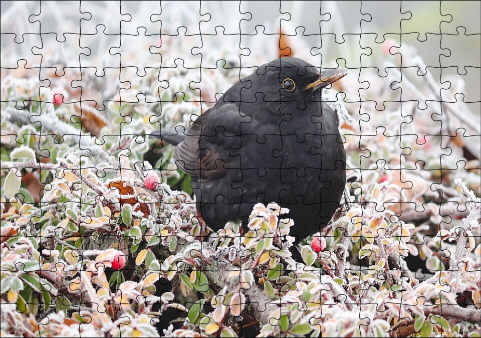 Donmuş Çalıların Arasındaki Karatavuk Puzzle Yapboz MDF Ahşap 120 Parça 24 cm X 34 cm