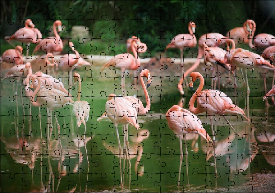 Durgun Gölde Beslenen Flamingolar Puzzle Yapboz MDF Ahşap