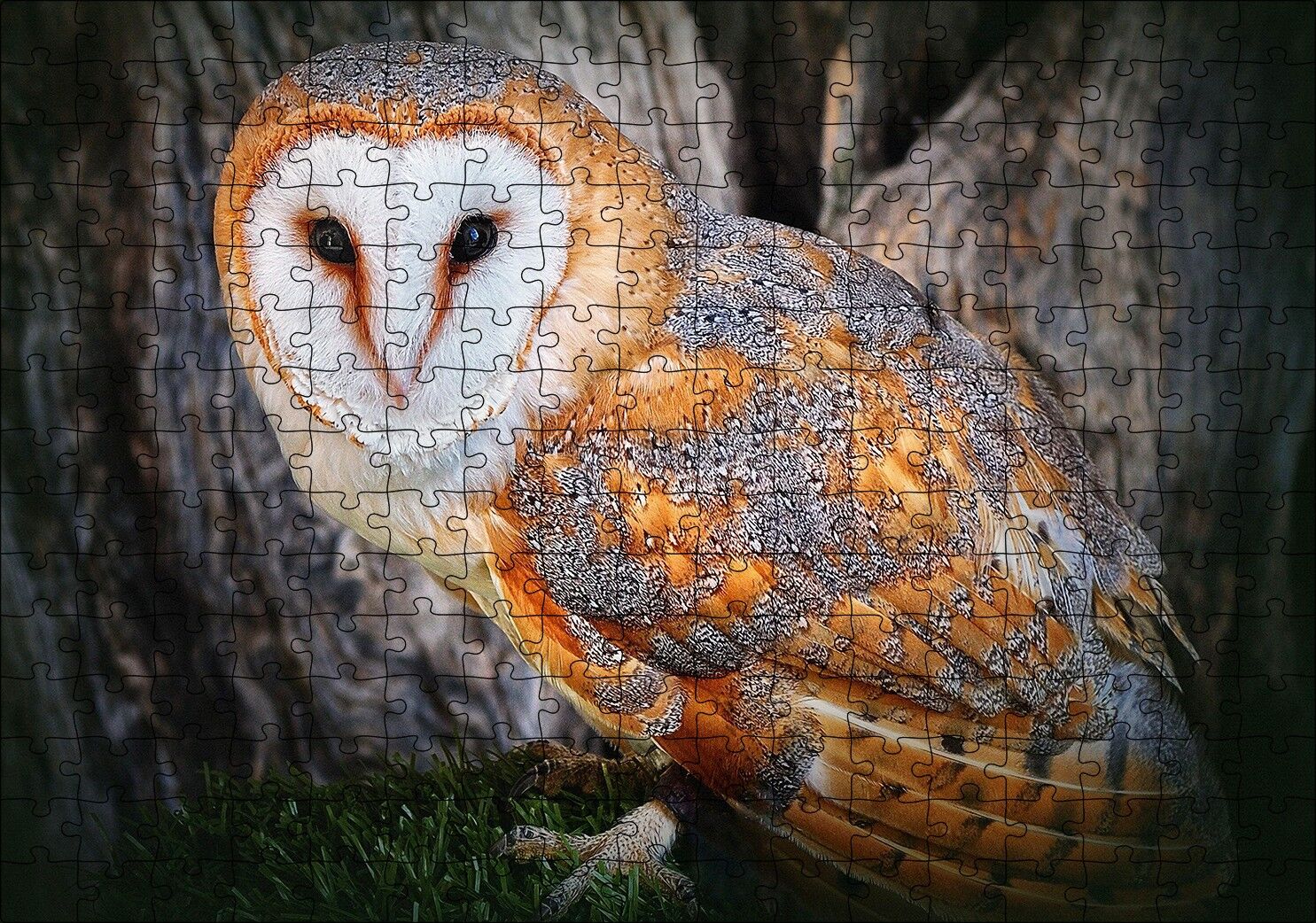 Peçeli Baykuş Türü Puzzle Yapboz MDF Ahşap 255 Parça 34 cm X 49 cm