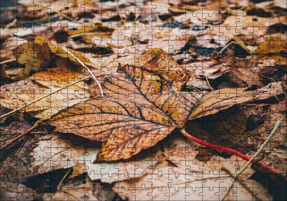 Yerde Sararmış Yapraklar Puzzle Yapboz MDF Ahşap 255 Parça 34 cm X 49 cm