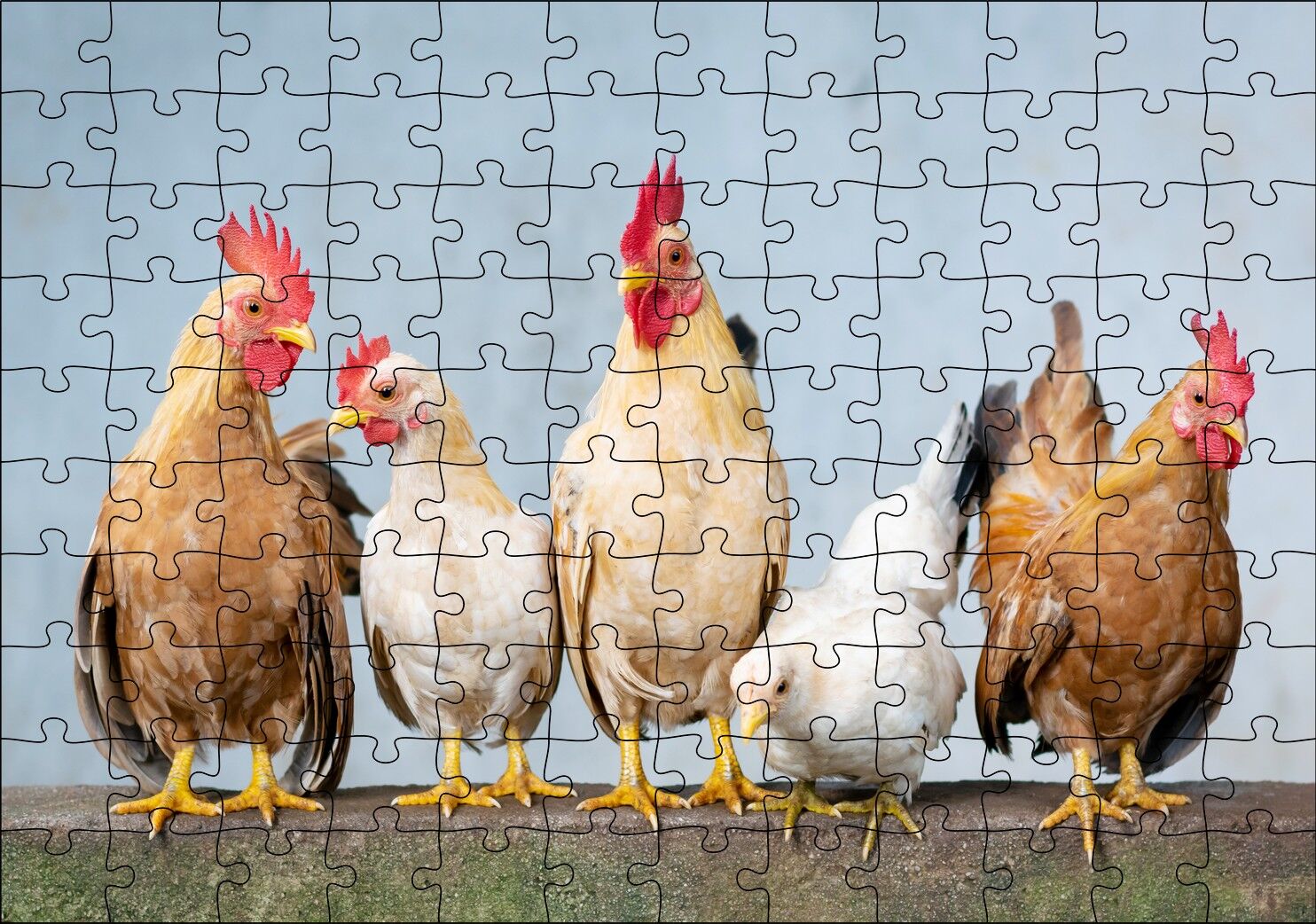 Duvarın Üstünde Kahverengi Beyaz Tavuklar Puzzle Yapboz MDF Ahşap