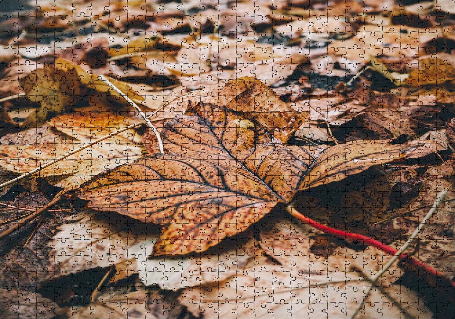 Yerde Sararmış Yapraklar Puzzle Yapboz MDF Ahşap 500 Parça 49 cm X 68 cm
