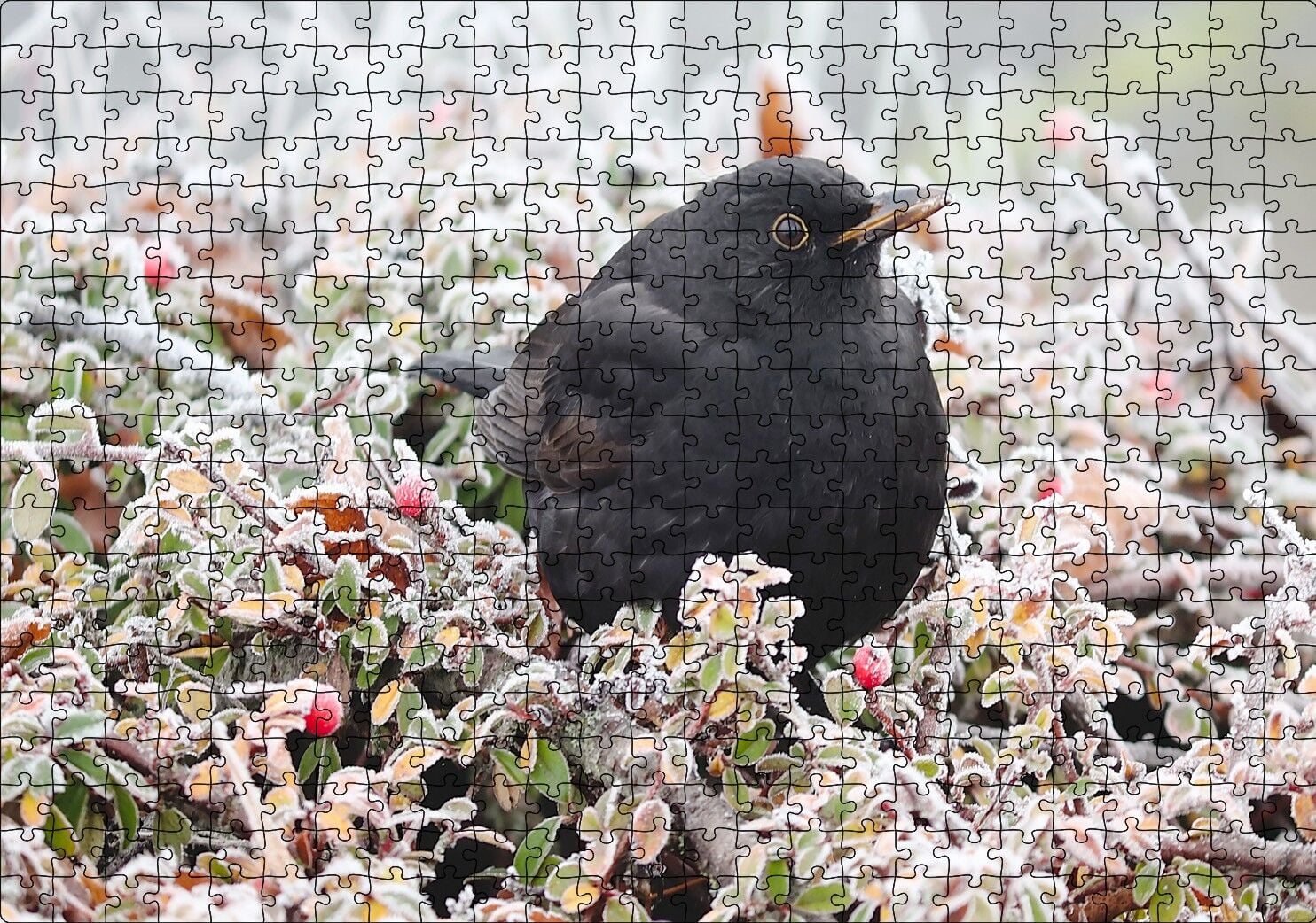 Donmuş Çalıların Arasındaki Karatavuk Puzzle Yapboz MDF Ahşap 500 Parça 49 cm X 68 cm