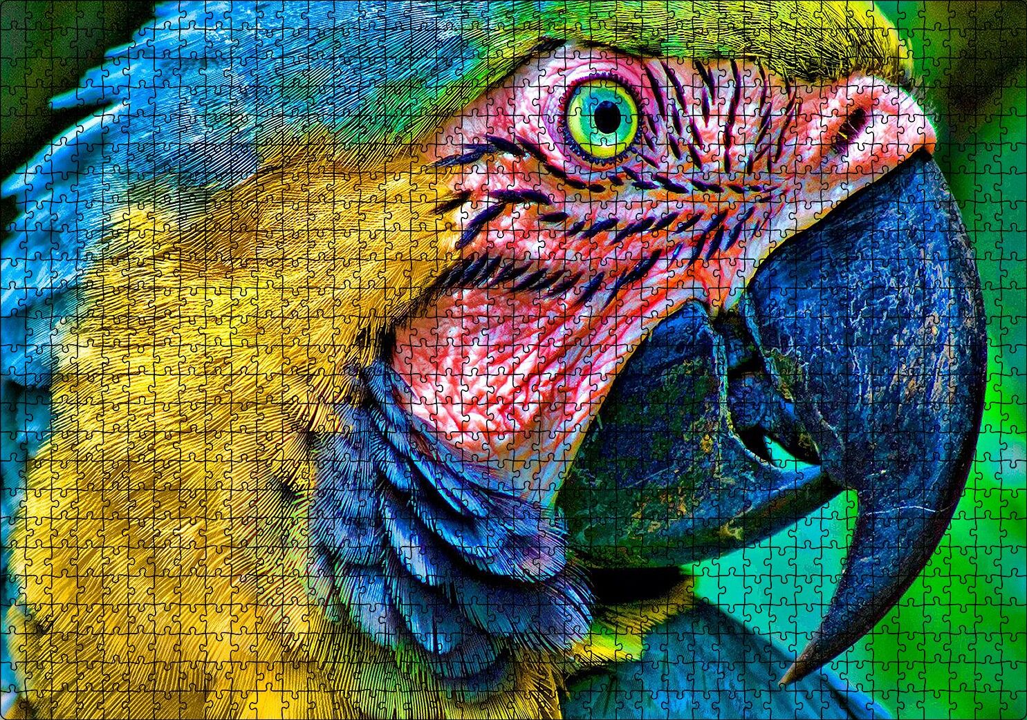 Macaw Papağanı Rengarenk Başı Yakın Plan Puzzle Yapboz MDF Ahşap 1000 Parça 49 cm X 68 cm