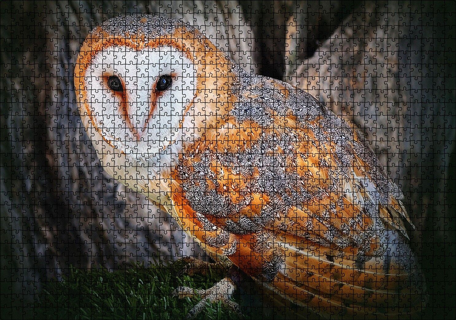 Peçeli Baykuş Türü Puzzle Yapboz MDF Ahşap 1000 Parça 49 cm X 68 cm