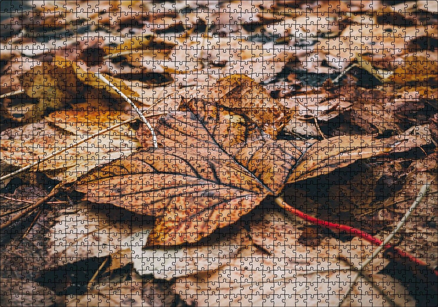 Yerde Sararmış Yapraklar Puzzle Yapboz MDF Ahşap 1000 Parça 49 cm X 68 cm