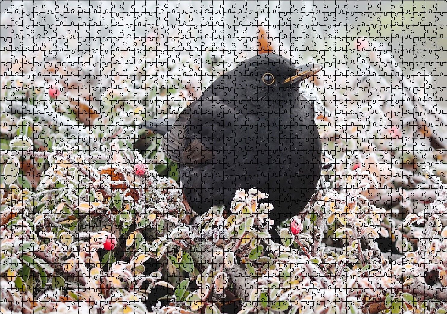 Donmuş Çalıların Arasındaki Karatavuk Puzzle Yapboz MDF Ahşap 1000 Parça 49 cm X 68 cm