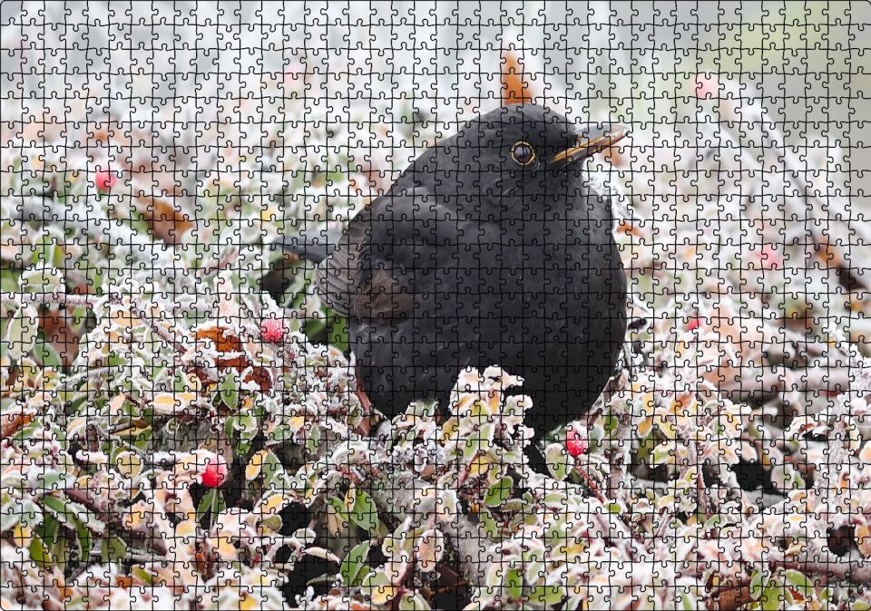Donmuş Çalıların Arasındaki Karatavuk Puzzle Yapboz MDF Ahşap 1000 Parça 49 cm X 68 cm