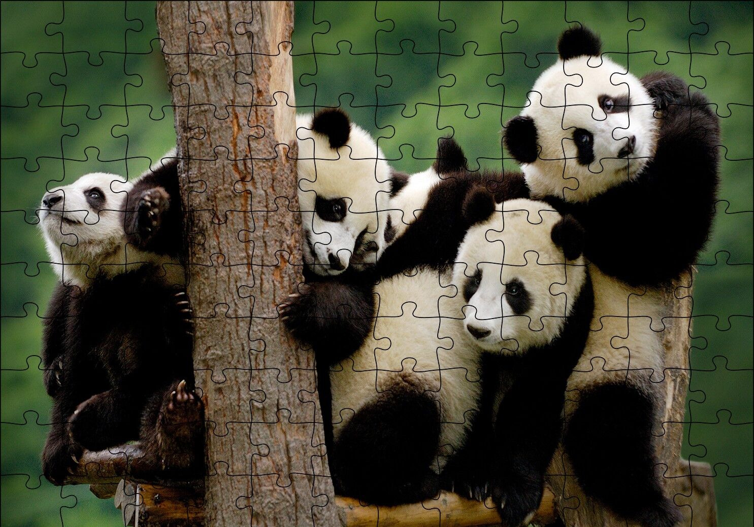 Sevimli Panda Yavruları Puzzle Yapboz MDF Ahşap 120 Parça 24 cm X 34 cm