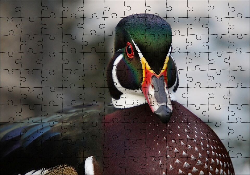 Yeşil Başlı Ördek Yakın Plan Puzzle Yapboz MDF Ahşap 120 Parça 24 cm X 34 cm