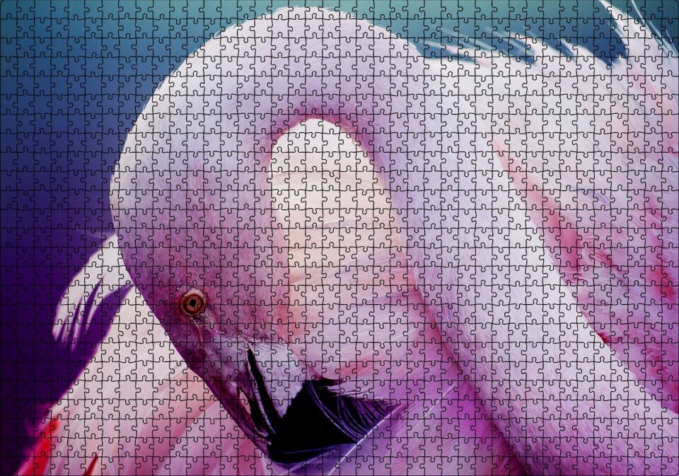 Pembe Flamingo Dinlenirken Görsel Puzzle Yapboz MDF Ahşap 1000 Parça 49 cm X 68 cm