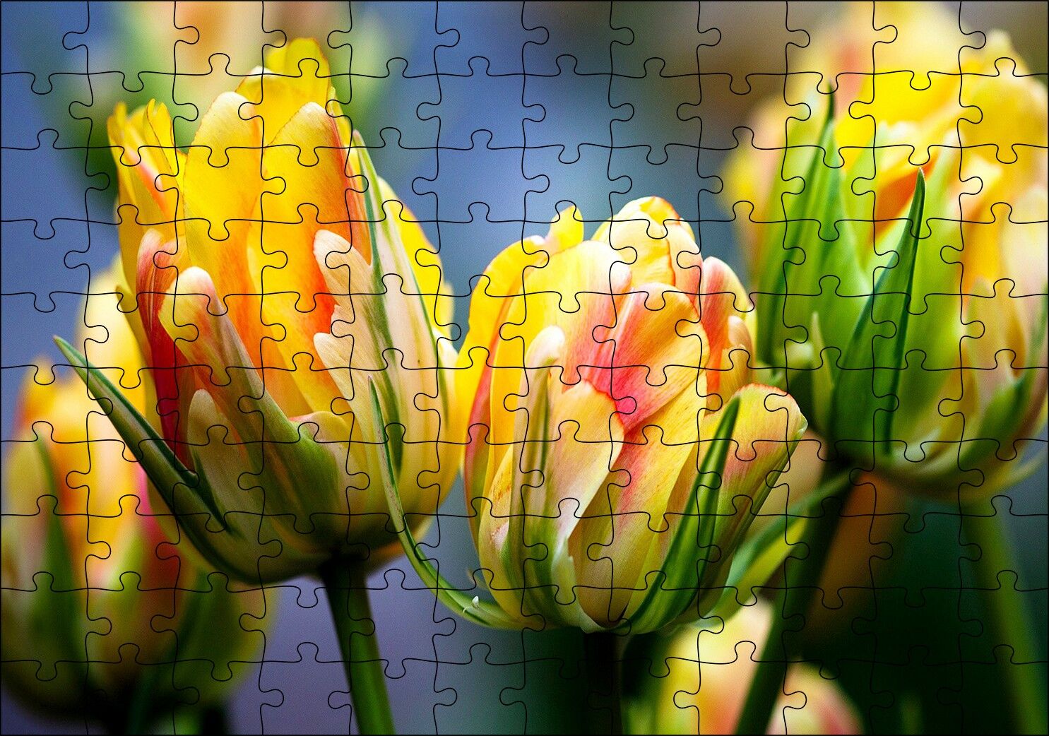 Sarı Turuncu Yeşil Tonlarda Lale Çiçeği Puzzle Yapboz MDF Ahşap