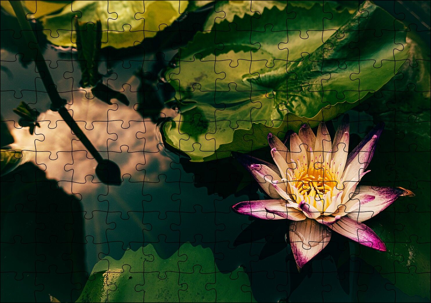 Yıldız Lotus Çiçeği Görseli Puzzle Yapboz MDF Ahşap 120 Parça 24 cm X 34 cm