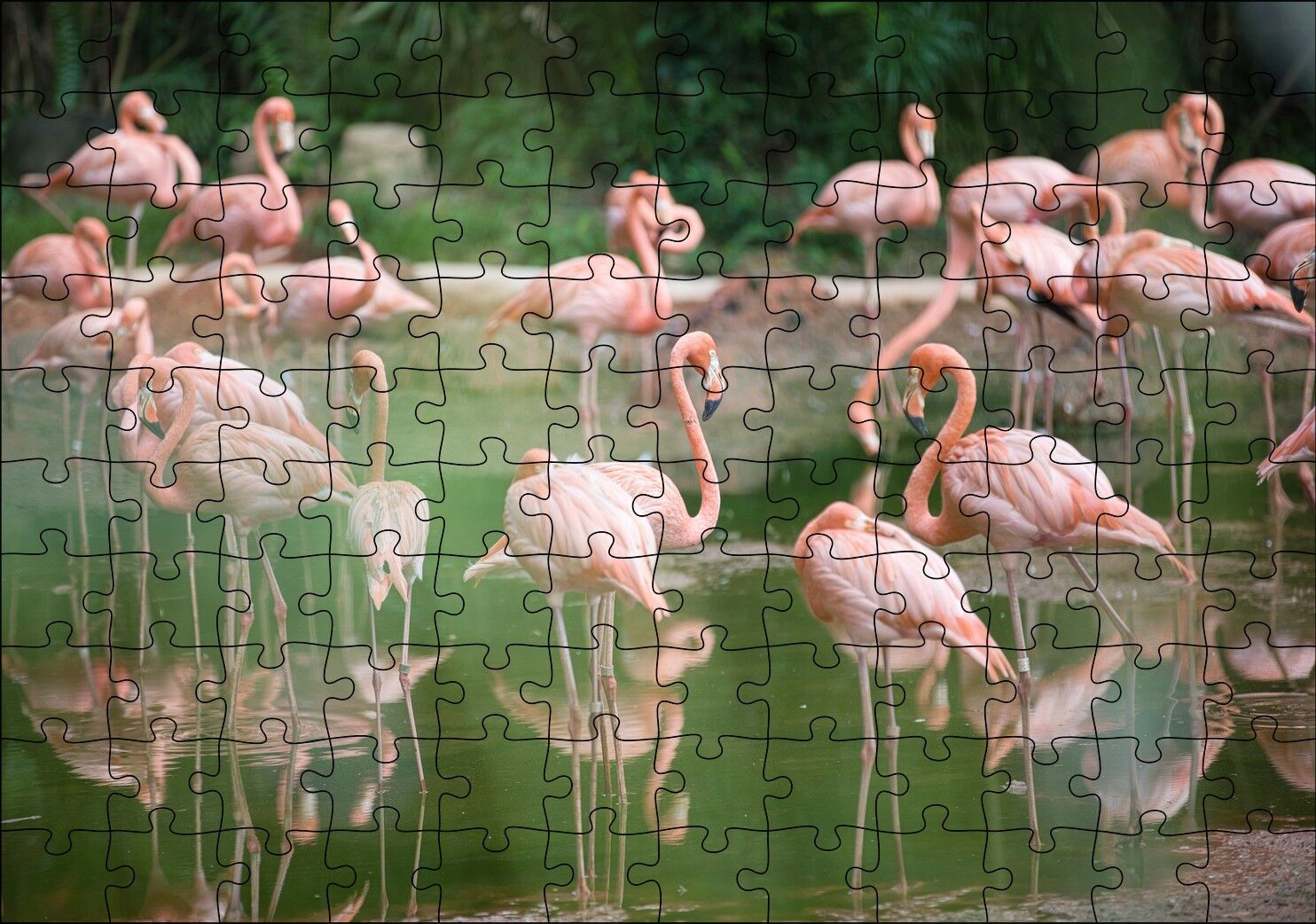 Durgun Gölde Beslenen Flamingolar Puzzle Yapboz MDF Ahşap 120 Parça 24 cm X 34 cm