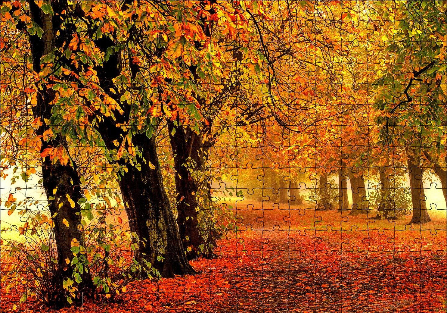 Sonbahar Orman Yolu ve Yapraklar Puzzle Yapboz MDF Ahşap 255 Parça 34 cm X 49 cm