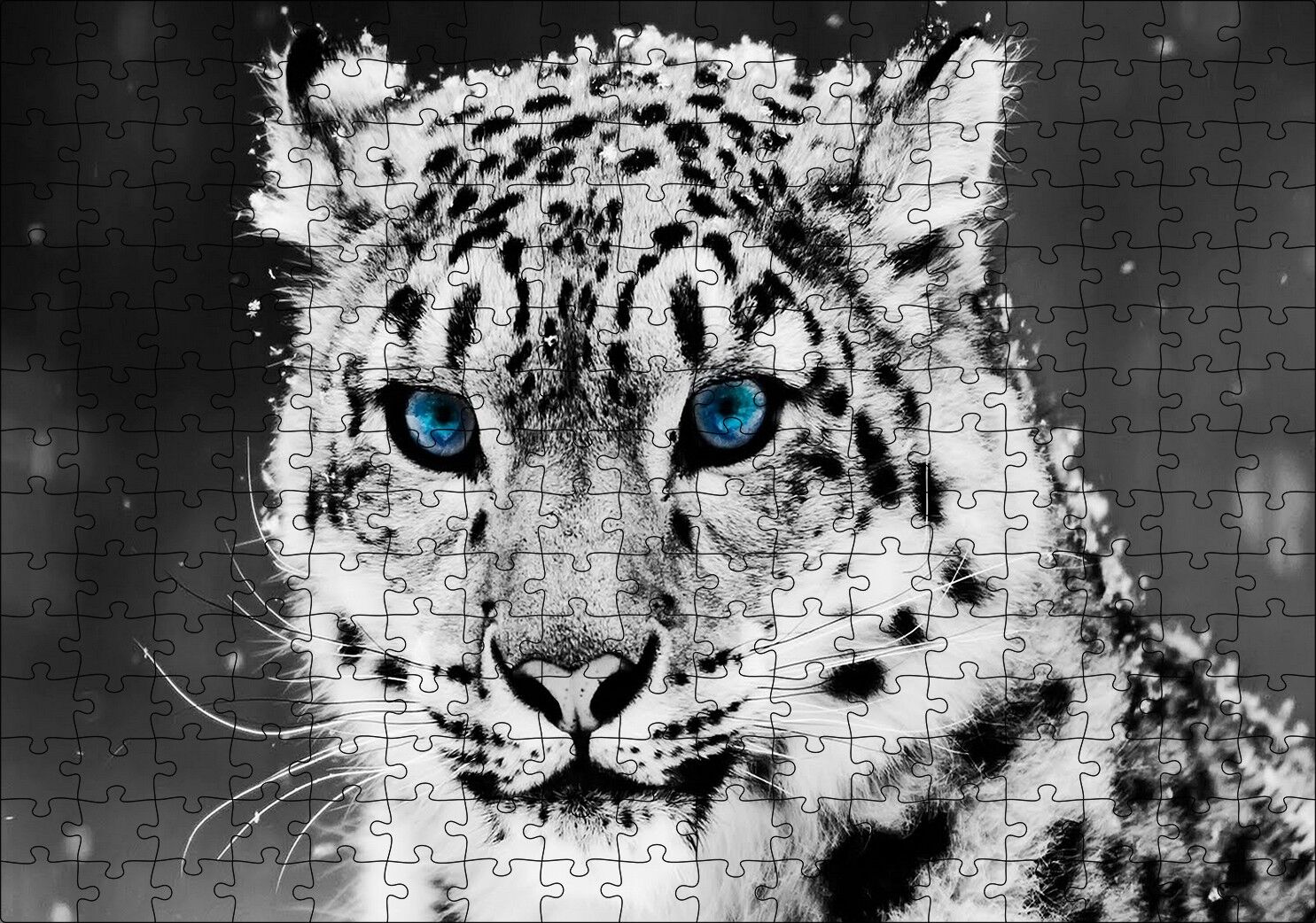 Kar Leoparı ve Mavi Gözleri Puzzle Yapboz MDF Ahşap 255 Parça 34 cm X 49 cm