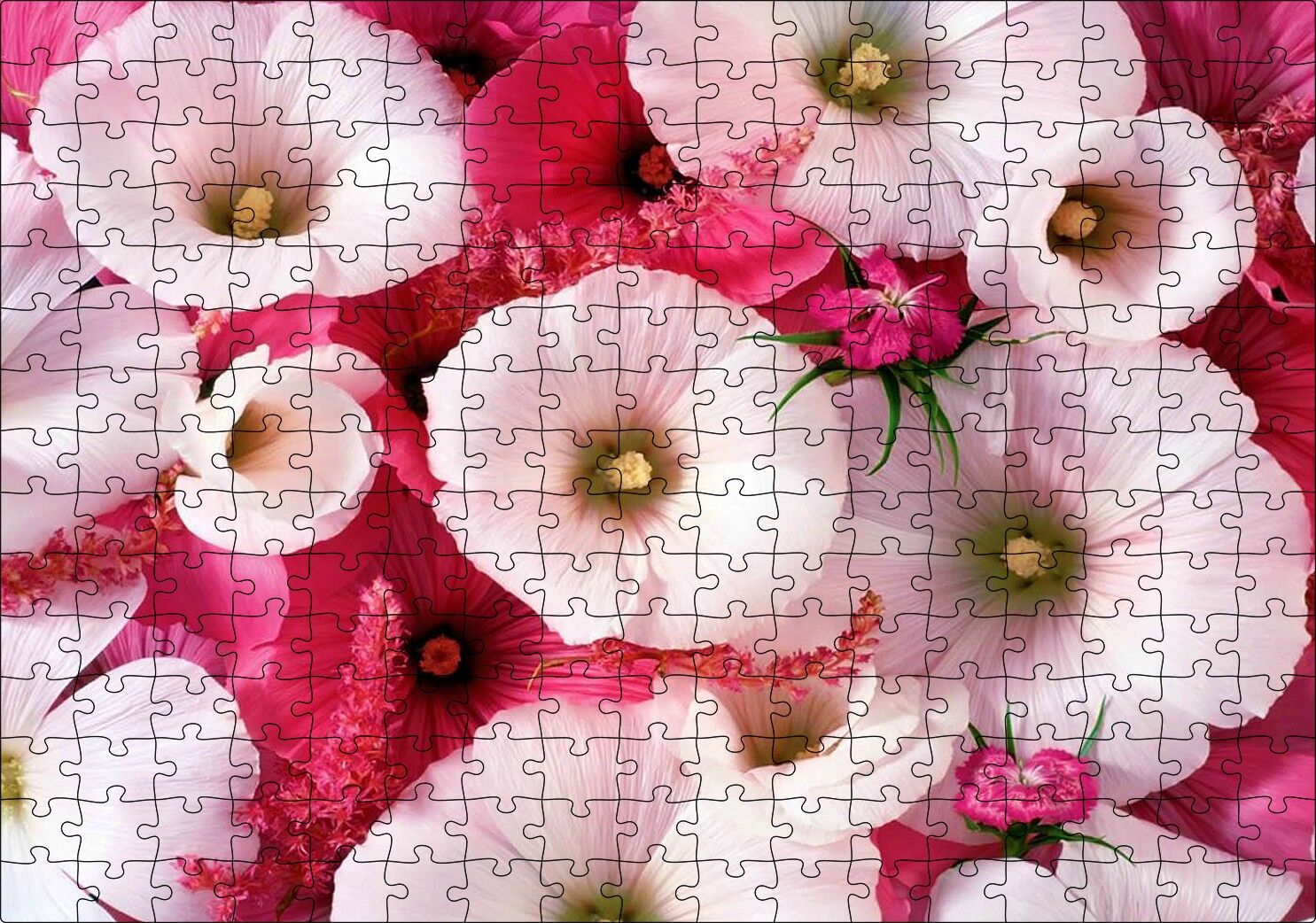 Pembeli Beyazlı Kapriz Çiçeği Görseli Puzzle Yapboz MDF Ahşap 255 Parça 34 cm X 49 cm