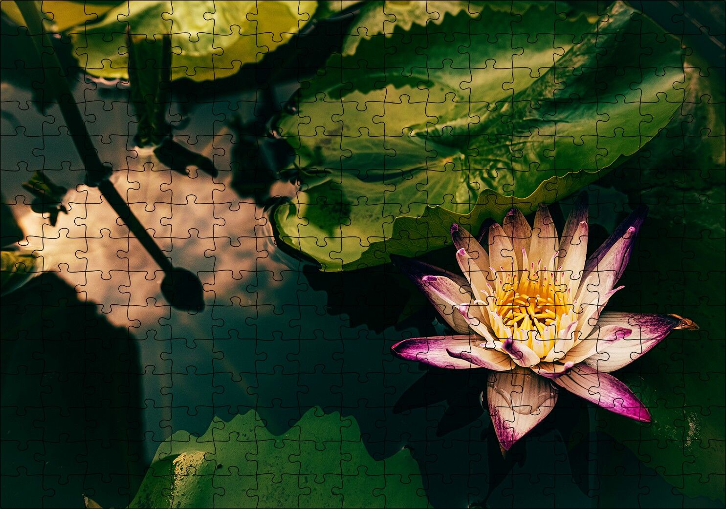 Yıldız Lotus Çiçeği Görseli Puzzle Yapboz MDF Ahşap 255 Parça 34 cm X 49 cm