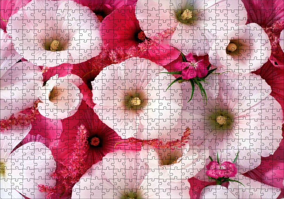 Pembeli Beyazlı Kapriz Çiçeği Görseli Puzzle Yapboz MDF Ahşap 500 Parça 49 cm X 68 cm