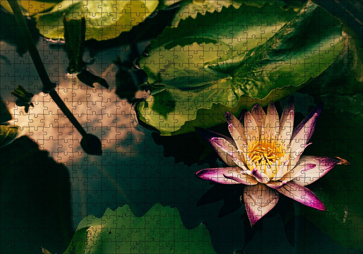 Yıldız Lotus Çiçeği Görseli Puzzle Yapboz MDF Ahşap 500 Parça 49 cm X 68 cm