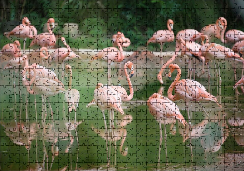 Durgun Gölde Beslenen Flamingolar Puzzle Yapboz MDF Ahşap 500 Parça 49 cm X 68 cm