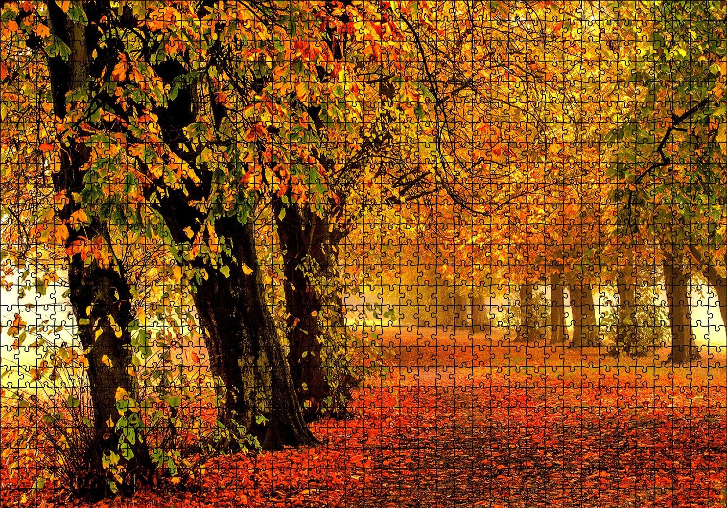 Sonbahar Orman Yolu ve Yapraklar Puzzle Yapboz MDF Ahşap 1000 Parça 49 cm X 68 cm