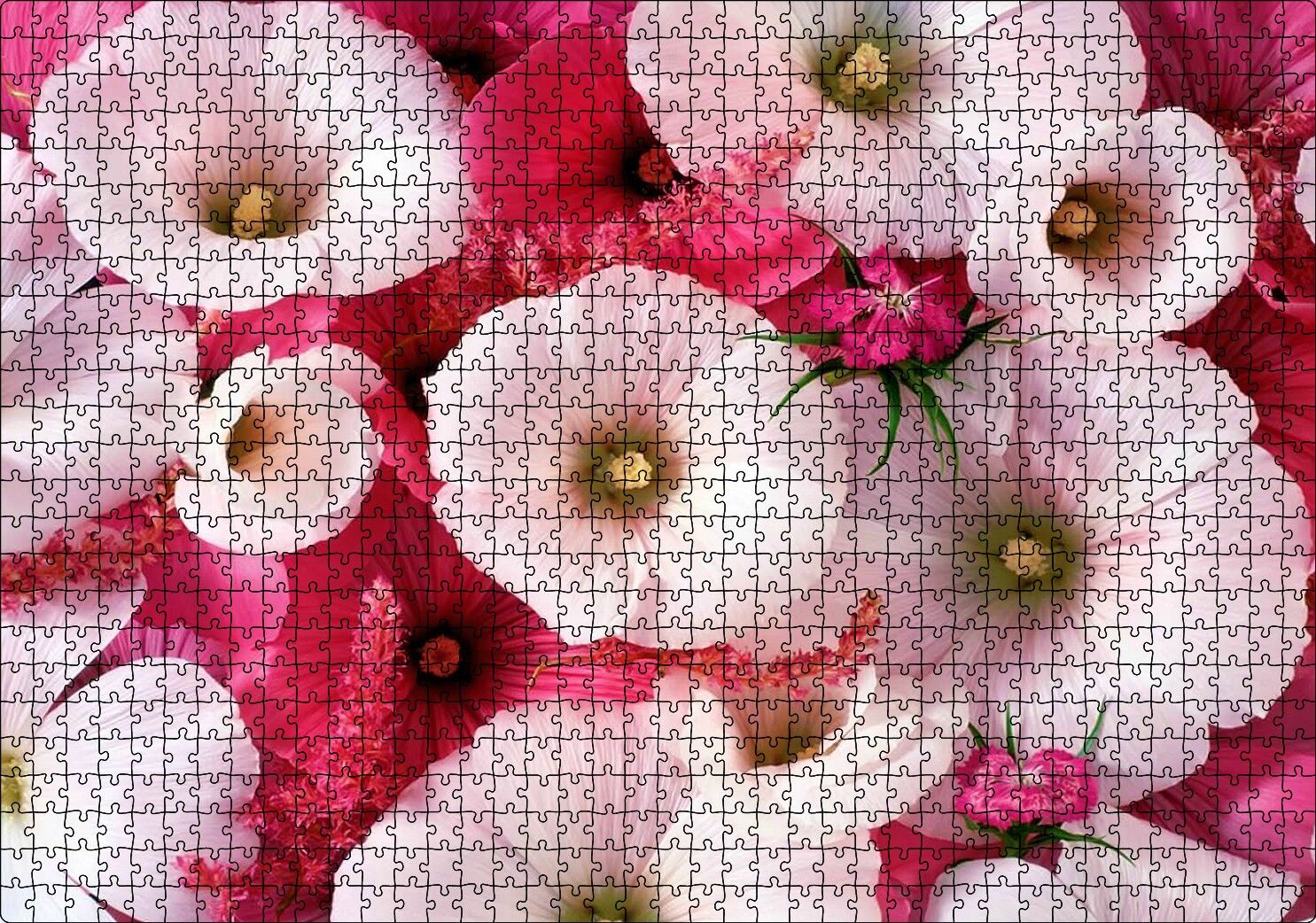 Pembeli Beyazlı Kapriz Çiçeği Görseli Puzzle Yapboz MDF Ahşap 1000 Parça 49 cm X 68 cm