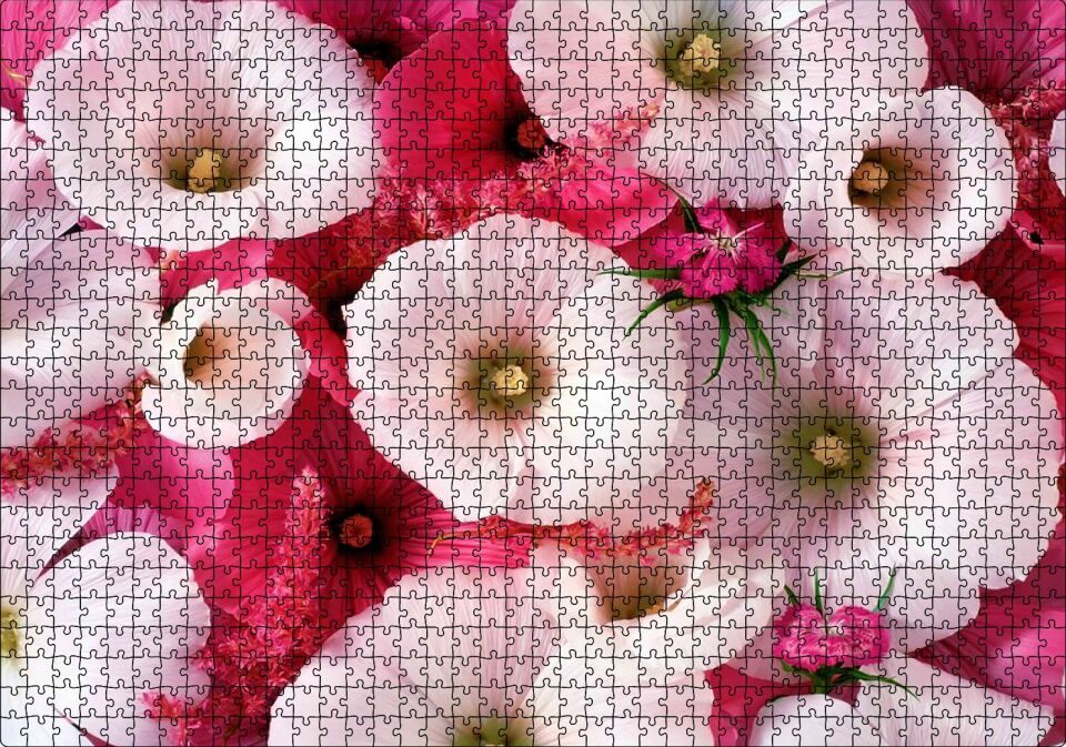 Pembeli Beyazlı Kapriz Çiçeği Görseli Puzzle Yapboz MDF Ahşap 1000 Parça 49 cm X 68 cm