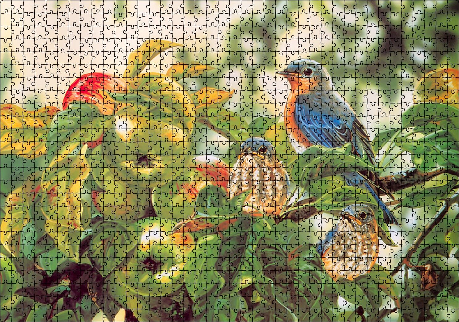 Dallarda Elmalar ve Renkli Kuşlar Puzzle Yapboz MDF Ahşap 1000 Parça 49 cm X 68 cm
