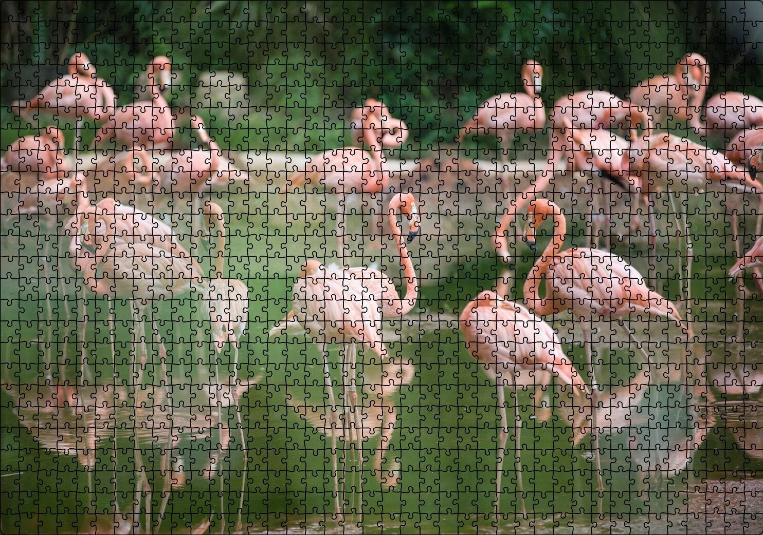Durgun Gölde Beslenen Flamingolar Puzzle Yapboz MDF Ahşap 1000 Parça 49 cm X 68 cm