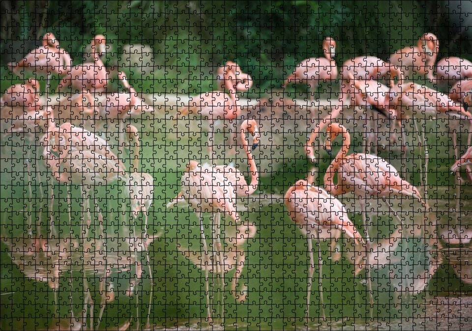 Durgun Gölde Beslenen Flamingolar Puzzle Yapboz MDF Ahşap 1000 Parça 49 cm X 68 cm