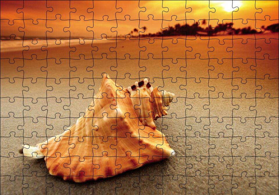 Deniz Kabuğu Puzzle Yapboz MDF Ahşap 120 Parça 24 cm X 34 cm