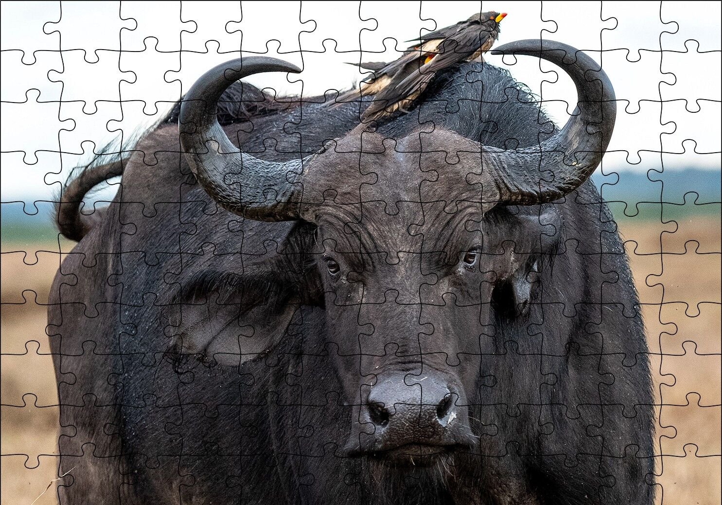 Buffalo ve Sırtındaki Kuş Arkadaşları Puzzle Yapboz MDF Ahşap