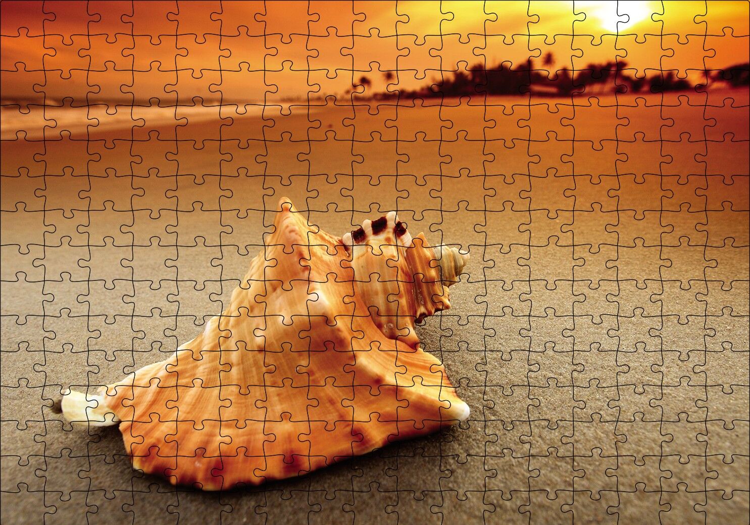 Deniz Kabuğu Puzzle Yapboz MDF Ahşap 255 Parça 34 cm X 49 cm