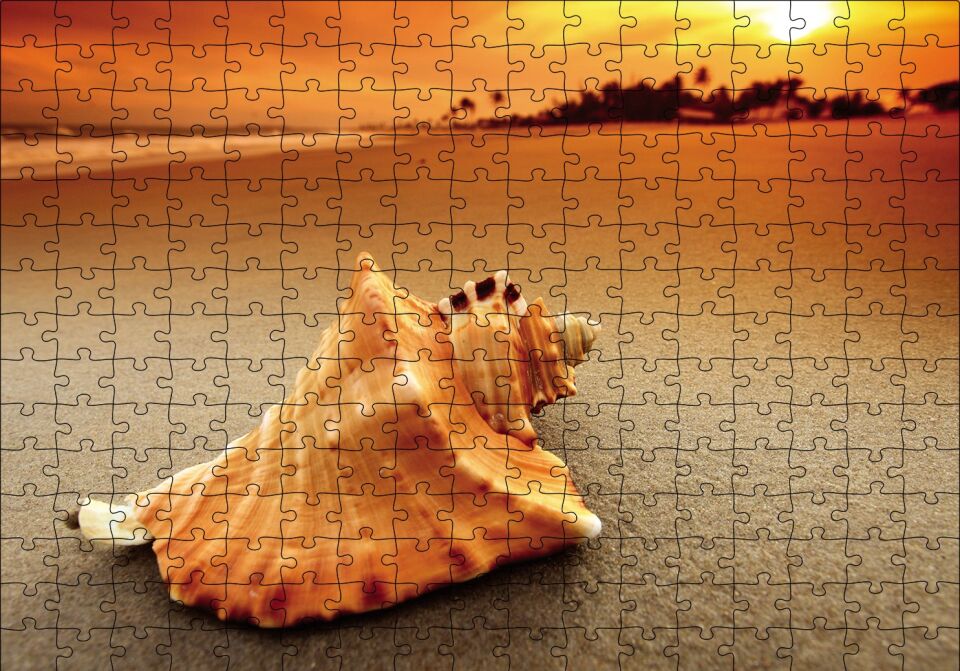 Deniz Kabuğu Puzzle Yapboz MDF Ahşap 255 Parça 34 cm X 49 cm
