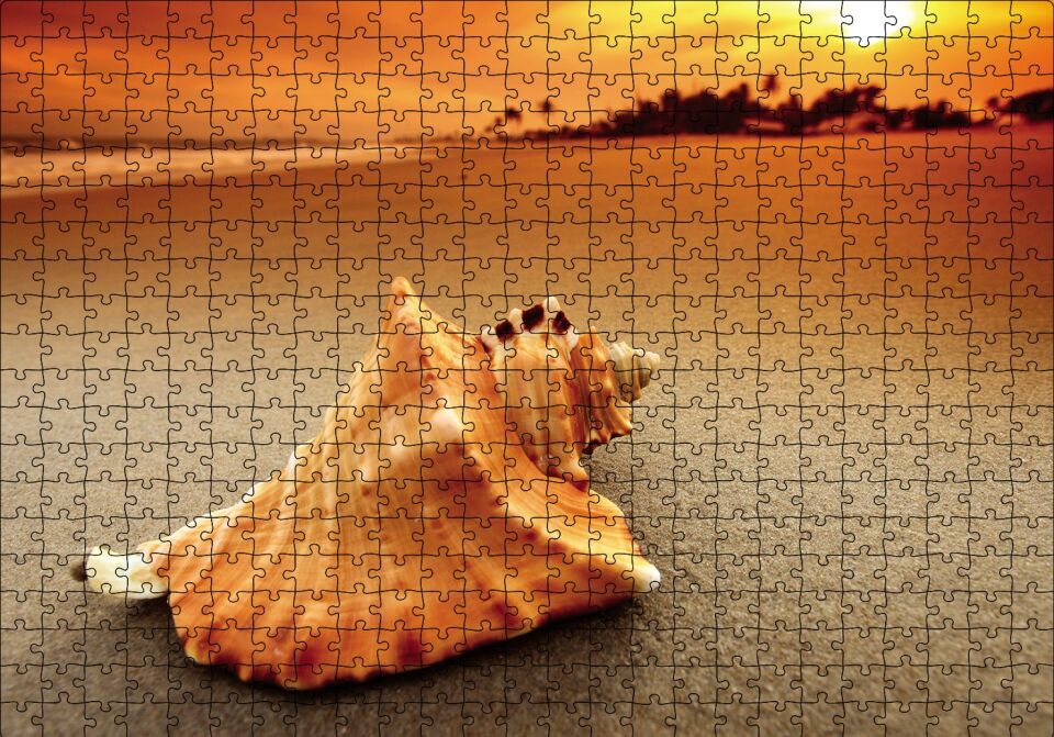 Deniz Kabuğu Puzzle Yapboz MDF Ahşap 500 Parça 49 cm X 68 cm