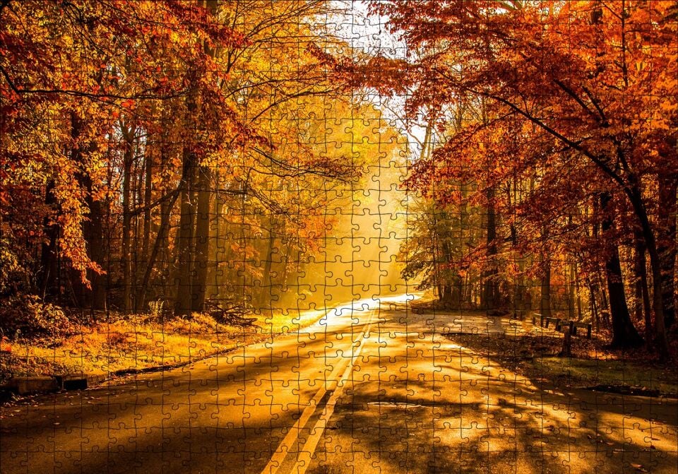 Sonbahar Ormandan Geçen Yol ve Güneş Işınları Puzzle Yapboz MDF Ahşap 500 Parça 49 cm X 68 cm