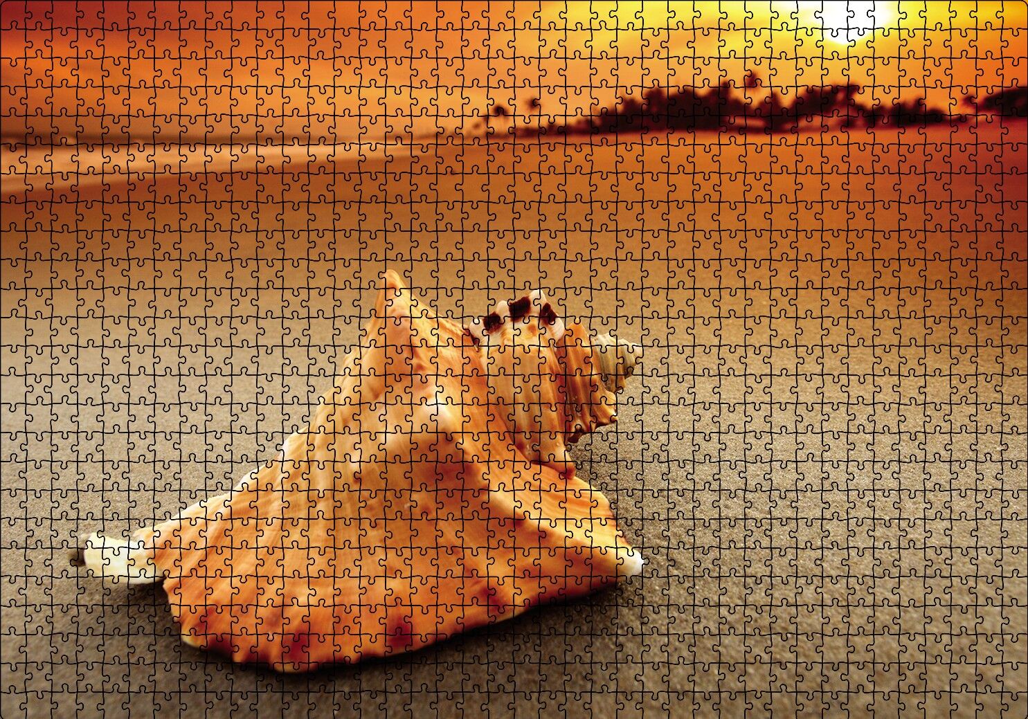 Deniz Kabuğu Puzzle Yapboz MDF Ahşap 1000 Parça 49 cm X 68 cm