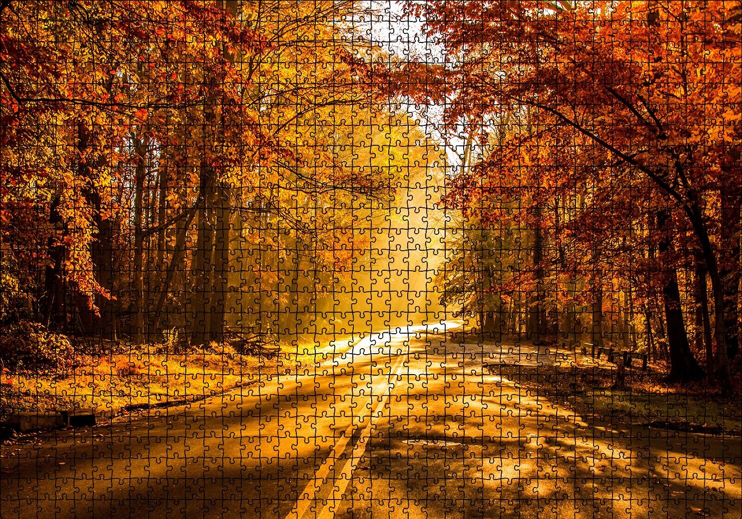 Sonbahar Ormandan Geçen Yol ve Güneş Işınları Puzzle Yapboz MDF Ahşap 1000 Parça 49 cm X 68 cm