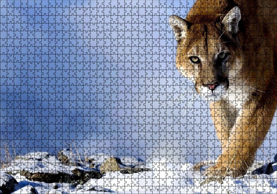 Karlı Tepedeki Puma Puzzle Yapboz MDF Ahşap 1000 Parça 49 cm X 68 cm