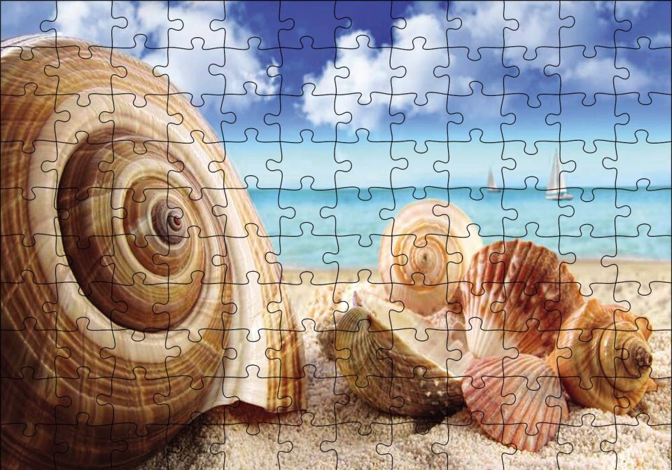Deniz Kabukları Puzzle Yapboz MDF Ahşap 120 Parça 24 cm X 34 cm