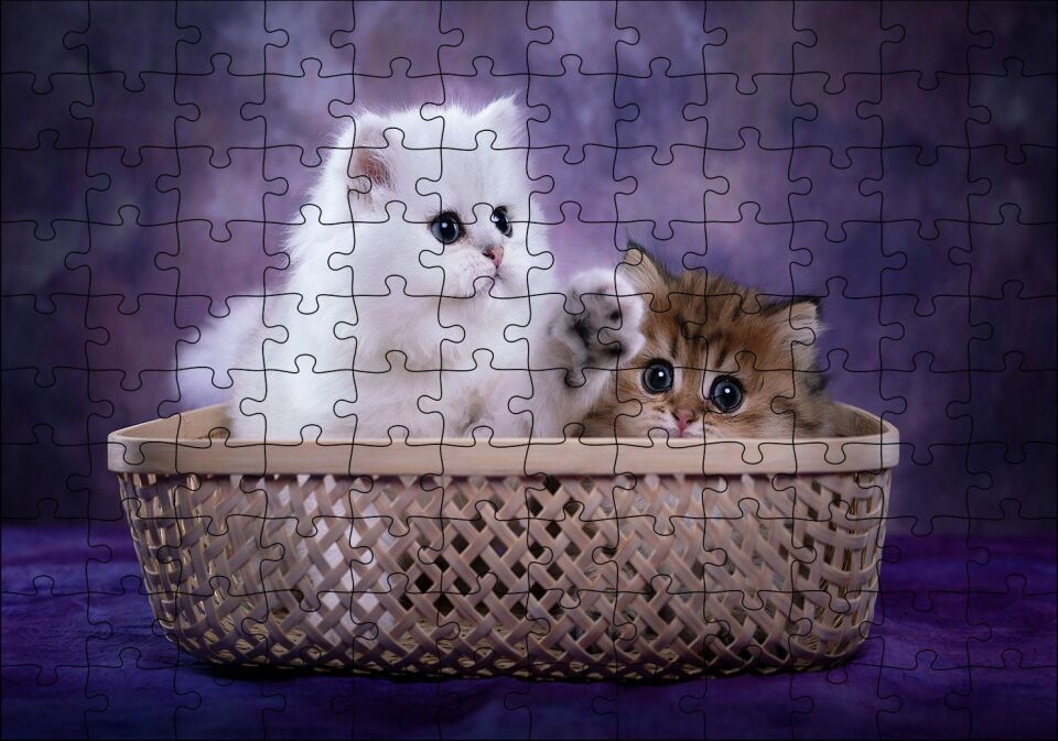 Sepette Beyaz ve Tekir Sevimli Kediler Puzzle Yapboz MDF Ahşap