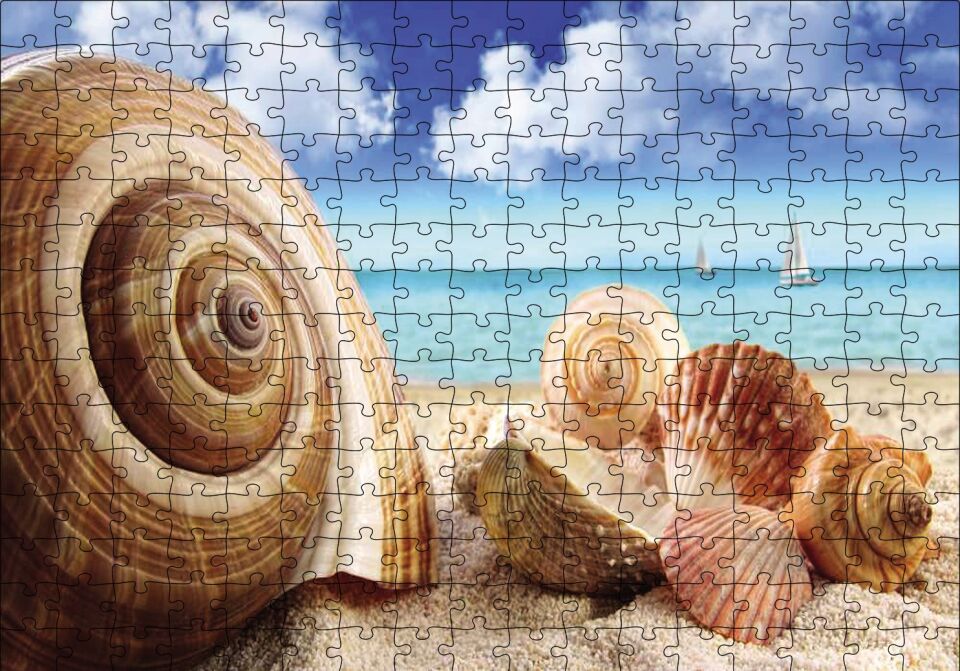 Deniz Kabukları Puzzle Yapboz MDF Ahşap 255 Parça 34 cm X 49 cm