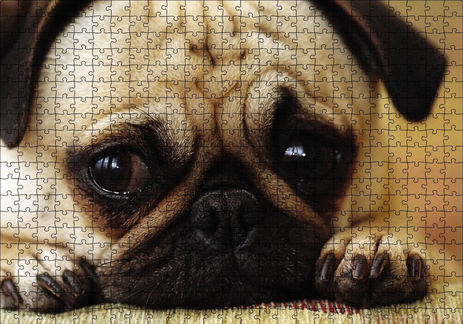 Pug Cinsi Köpek Puzzle Yapboz MDF Ahşap 500 Parça 49 cm X 68 cm