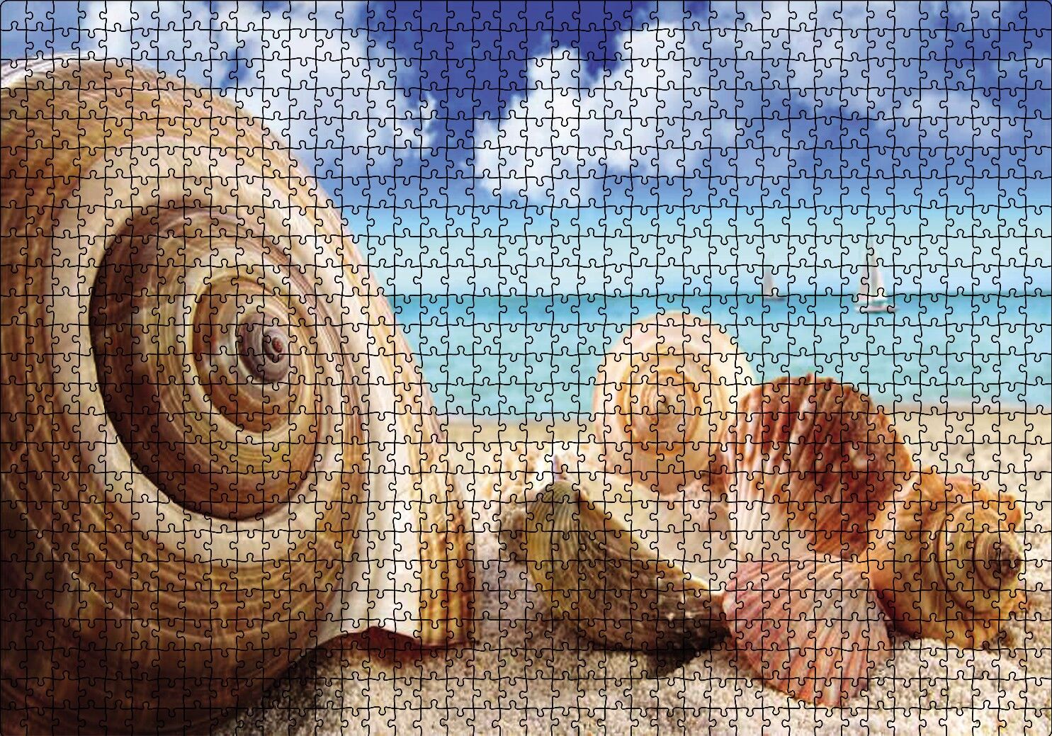 Deniz Kabukları Puzzle Yapboz MDF Ahşap 1000 Parça 49 cm X 68 cm