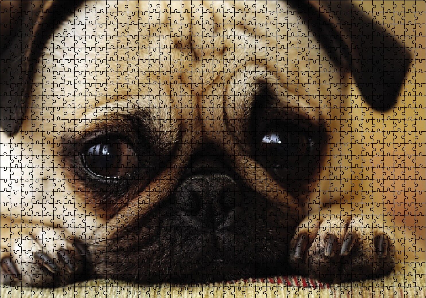 Pug Cinsi Köpek Puzzle Yapboz MDF Ahşap 1000 Parça 49 cm X 68 cm