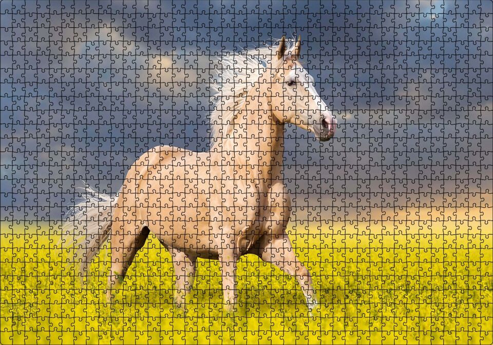 Toprak Rengi At Çiçekler Arasında Koşarken Görsel Puzzle Yapboz MDF Ahşap 1000 Parça 49 cm X 68 cm
