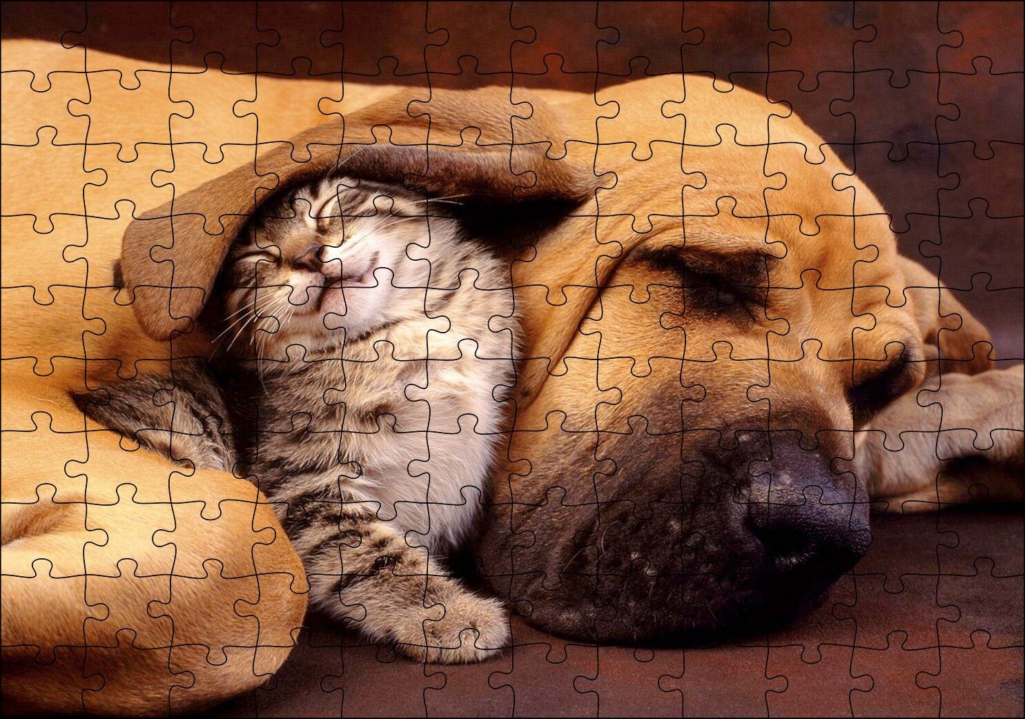 Sevimli Sharpy Köpek ve Yavru Kedi Puzzle Yapboz MDF Ahşap